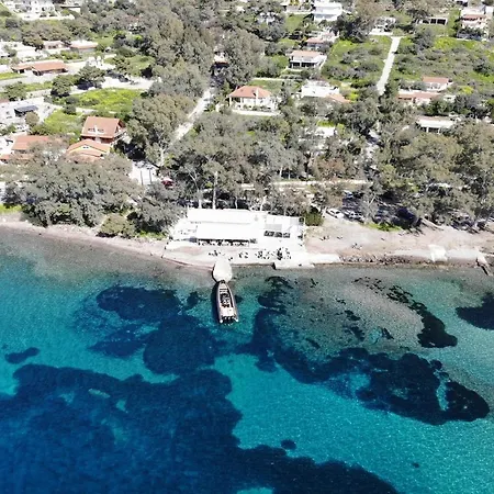 Maison d'hôtes Mare Guesthouse&café Perdika (Aegina)